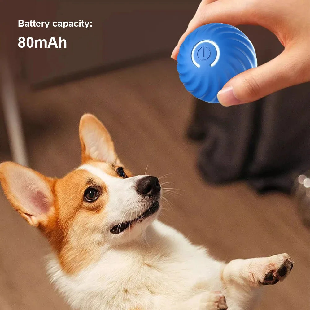 Electric Dog Ball Toys Smart Gravity Jump Moving Ball USB Rechargeable Automatic Rolling Ball for Cat Dog Interactive Pet Toy