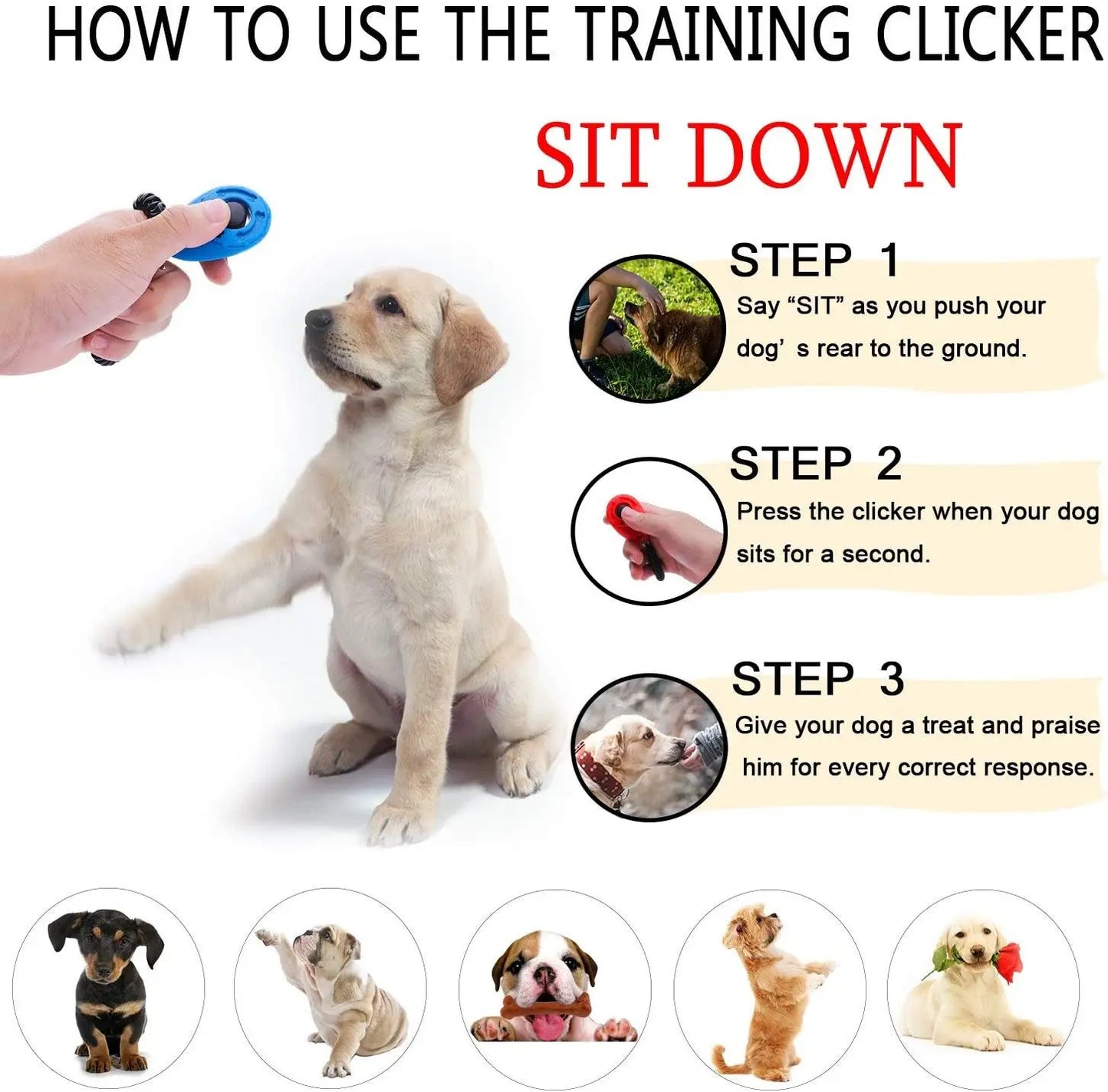 Pet Cat Dog Training Clicker Portable Puppy Correction Instruction Behavioral Clicker Wrist Strap Sound Key Chain Dog Supplies