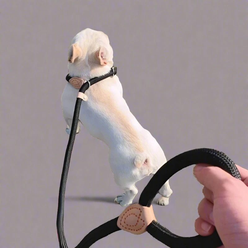 Adjustable Nylon Dog Leash