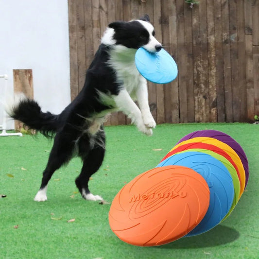 Bite-Resistant Flying Disc Dog Toy - The Urban Paw Company